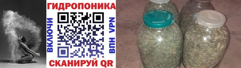 Бошки Шишки Amnesia Кстово